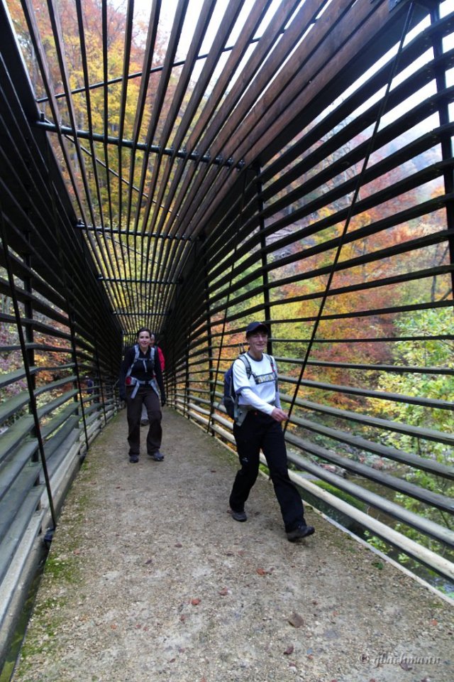 20101030_029